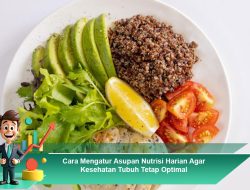 Cara Mengatur Asupan Nutrisi Harian Agar Kesehatan Tubuh Tetap Optimal
