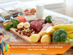 Nutrisi Penting yang Dibutuhkan Tubuh untuk Menjaga Daya Tahan Optimal
