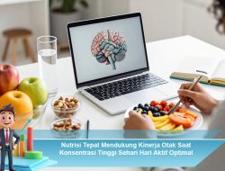 Nutrisi Tepat Mendukung Kinerja Otak Saat Konsentrasi Tinggi Sehari Hari Aktif Optimal