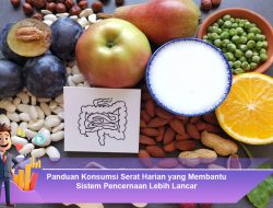 Panduan Konsumsi Serat Harian yang Membantu Sistem Pencernaan Lebih Lancar
