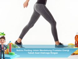 Nutrisi Penting Untuk Mendukung Produksi Energi Tubuh Saat Olahraga Ringan